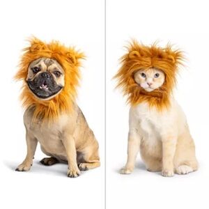 PetSmart Thrills & Chills Lion Mane Pet Costume Dog Cat Headpiece L/XL